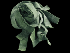 Alga spirulina--Barone d.o.o.