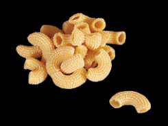 Chiferi rigati-Barone d.o.o.