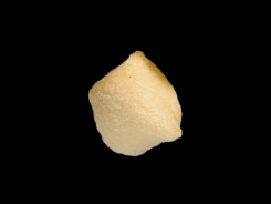 Gnocchi-Barone d.o.o.