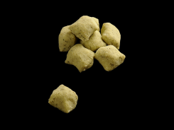 Gnocchi al gusto d` ortica-Barone d.o.o.