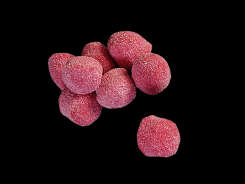 Gnocchi al gusto d`erbette rosse-Barone S.r.l.