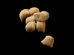 Gnocchi al gusto di cacao-Barone d.o.o.