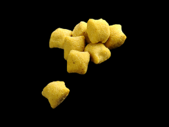 Gnocchi al gusto di curry e cipolla-Barone d.o.o.