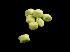 Gnocchi al gusto di menta-Barone d.o.o.