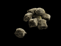 Gnocchi al gusto di nero di seppia-Barone S.r.l.