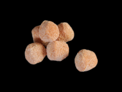 Gnocchi al gusto di pomodoro-Barone d.o.o.