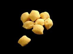 Gnocchi al gusto di zucca-Barone d.o.o.