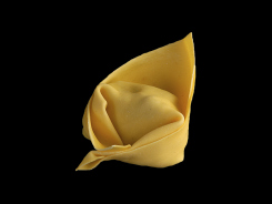 Tortellone--Barone S.r.l.