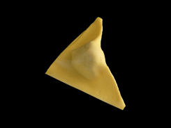 Trigangolo--Barone d.o.o.