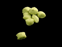 Gnocchi fritti al gusto di menta-Barone S.r.l.