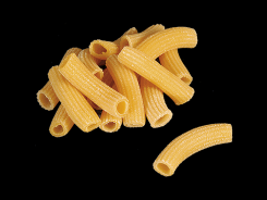 Rigatoni medi-Barone S.r.l.