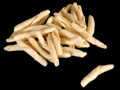 Strozzapreti-Strozzapreti-Barone d.o.o.