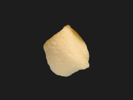 Gnocchi-Barone d.o.o.