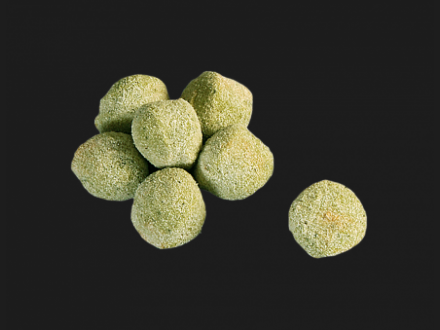 Gnocchi al gusto di spinaci-Barone d.o.o.