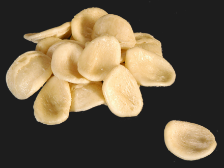 Orecchiette-Orecchiette-Barone d.o.o.