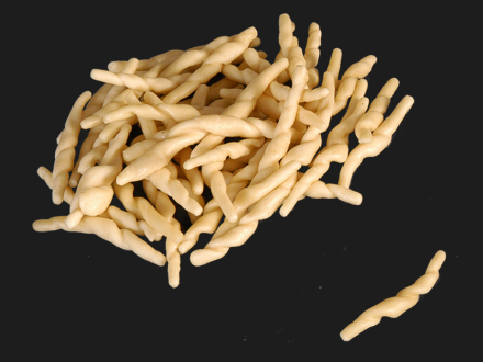 Trofie-Trofie-Barone d.o.o.